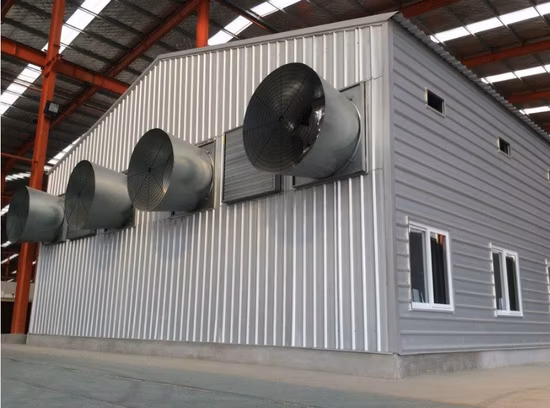 Popular Galvanized Customized Prefabricated Steel Structure Engineer Building Poultry Farm Chicken House Coop