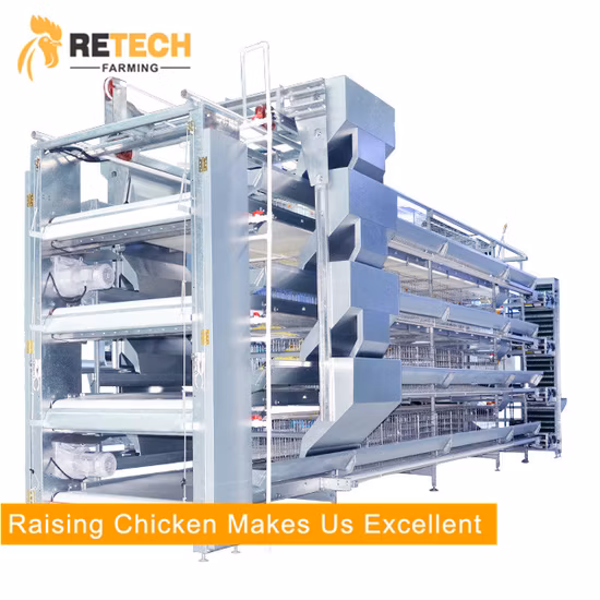 Design Automatic Egg Layer Poultry Farm Battery Chicken House for 10000 Laying Hens