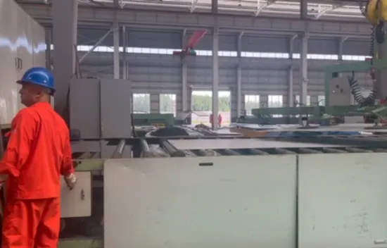 가금류 집을 위한 조립식으로 만들어진 강철 구조물 샌드위치 패널 하우스 건물