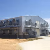 자동 레이어 케이지 장비를 갖춘 완전 폐쇄형 가금류 사육장 완성